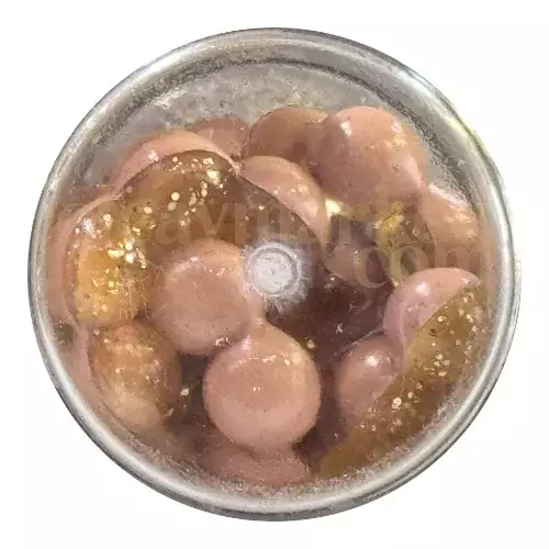Berkley PowerBait Garlic Eggs Clear Gold Natural 687734 - 3