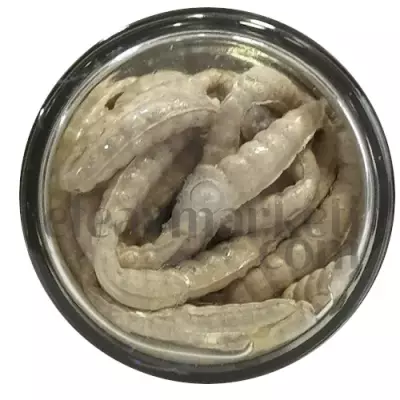 Berkley PowerBait Honey Worm Garlic White 706886 - 2