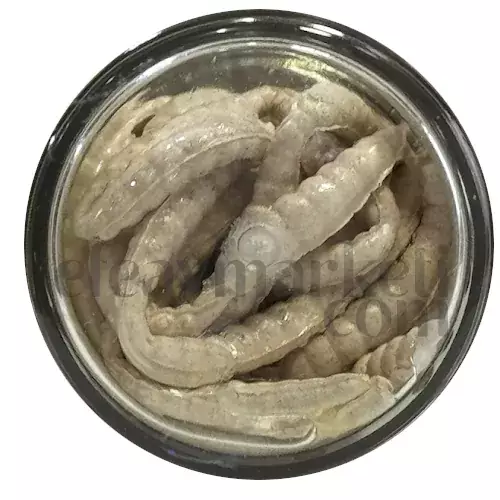 Berkley PowerBait Honey Worm Garlic White 706886 - 2