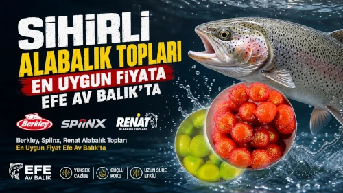 Berkley, Renat, Spiinx alabalık, somon yumurtaları