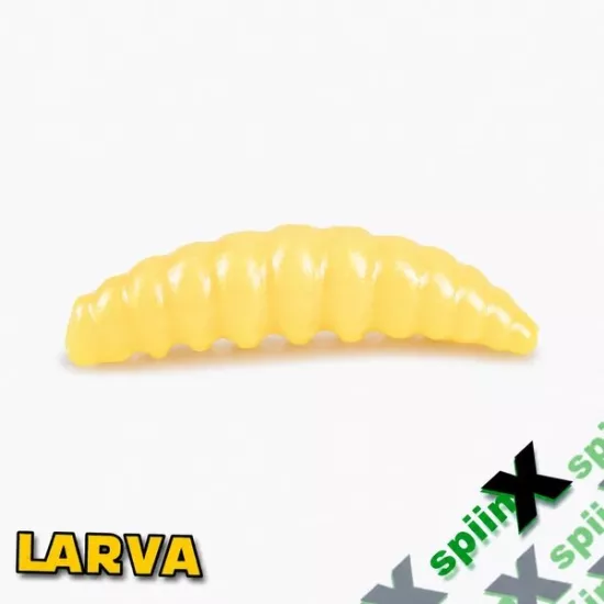 CHEESE 05