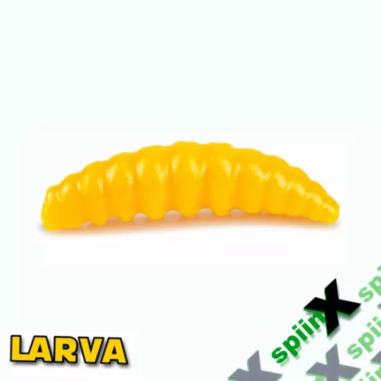 MUSTARD 44