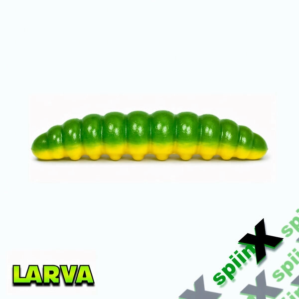 Spiinx Larva Peynir 35mm Jamaica 72