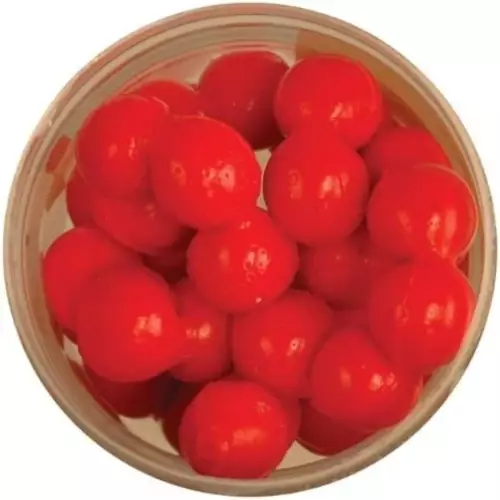 Berkley PowerBait Garlic Scent Fluorescent Orange Power Eggs 549919